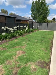 12 Dashing Road, CRAIGIEBURN, VIC 3064 AUS