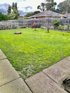 3 Blamey Avenue, MILL PARK, VIC 3082 AUS