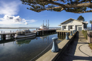 Lot 7, Block 24 South Street, PORT ALBERT, VIC 3971 AUS