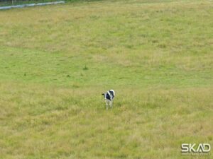 64 Darraweit Valley Road, DARRAWEIT GUIM, VIC 3756 AUS