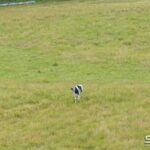 64 Darraweit Valley Road, DARRAWEIT GUIM, VIC 3756 AUS