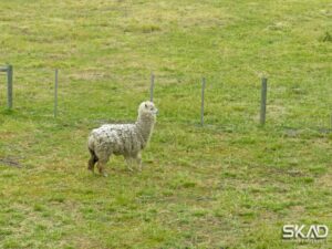 64 Darraweit Valley Road, DARRAWEIT GUIM, VIC 3756 AUS