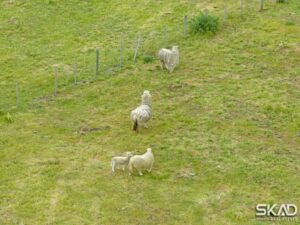 64 Darraweit Valley Road, DARRAWEIT GUIM, VIC 3756 AUS