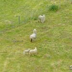 64 Darraweit Valley Road, DARRAWEIT GUIM, VIC 3756 AUS